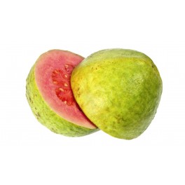Guayaba - YALCACHIMBA, S.A